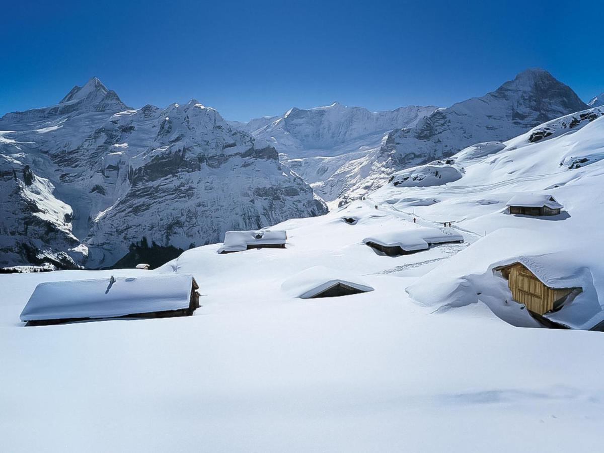 Apartment Chalet Shangri La By Interhome Grindelwald Luaran gambar